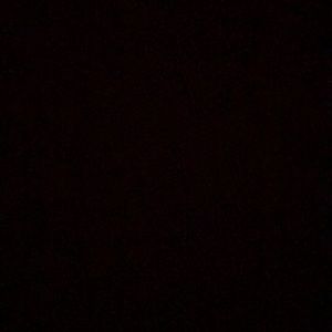 Meet your Posher, Lillian